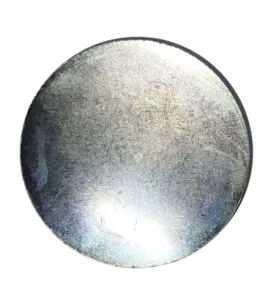 Заглушка 45-08КП.Ц9..ХР (d=45) блока цилиндров Д-240, Д-245 МТЗ 